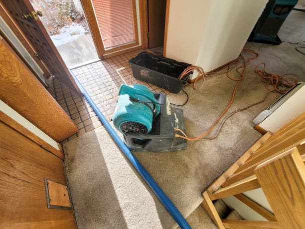 Best Commercial water damage restoration  in Versailles, PA
