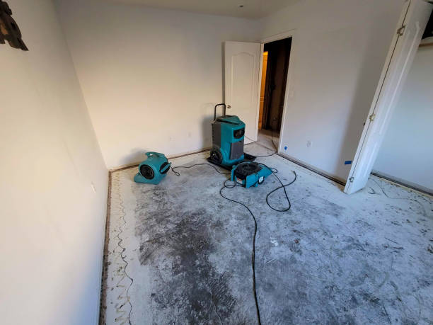 Best Ceiling water damage repair  in Versailles, PA