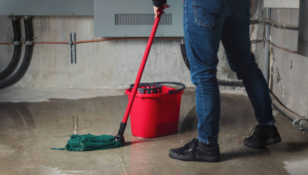 Best Water damage restoration cost  in Versailles, PA