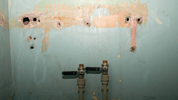 Best Flooded house restoration  in Versailles, PA