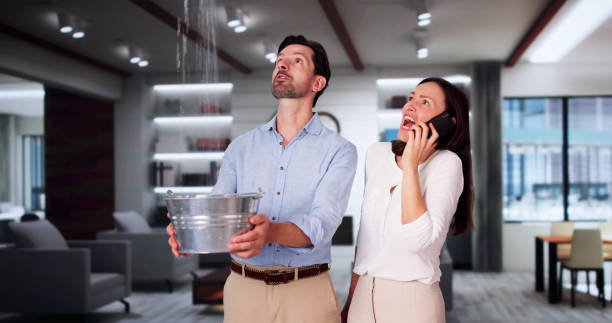 Best Professional water damage repair  in Versailles, PA